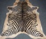 Egzotinių gyvūnų (zebro, jaguaro) rašto karvės kailio kilimai            