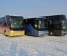 Autobusų nuoma                                             
