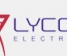 Vaizdo stebėjimo sistemų montavimas UAB Lycosa electronics 