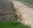Juodzemis, augalinis sluoksnis, durpes, zvyras, smelis 860625738 Vilnius Racioko nuoma 