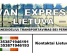 Siuntinių pervežimas maršrutu Airija - Lietuva - Airija  