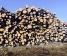 Miškų ūkio 10000 kv.m.