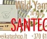 SANTEGRA VITAMINAI 